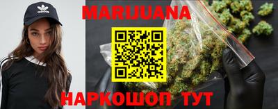 прущие крисы Кингисепп