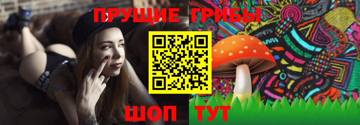 Псилоцибиновые грибы Psilocybe  Вход с VPN  Нурлат  Псилоцибиновые грибы Cubensis 